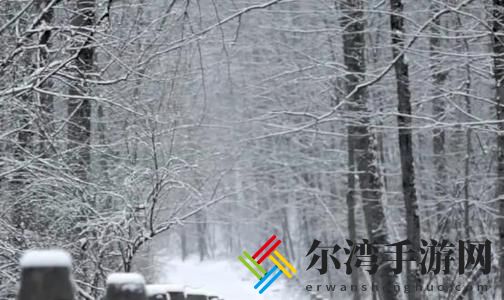 2020大雪节气图片分享 最新大雪文案朋友圈说说唯美句子-游戏潮