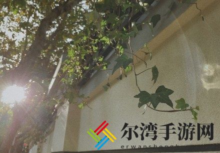 如果2020是一部电影，你会看吗？-游戏潮