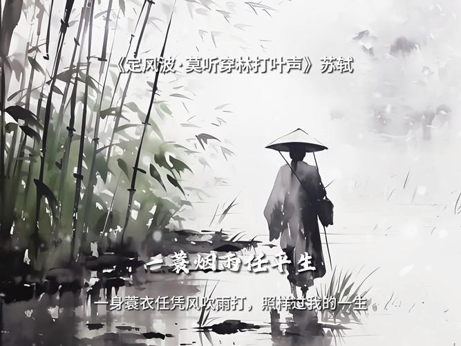 苏家有女1v5一蓑烟雨——烟雨江湖中的传奇女子