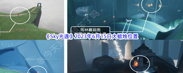 Sky光遇2023年6月15日大蜡烛位置分享 宠物技能培养与实战应用指南