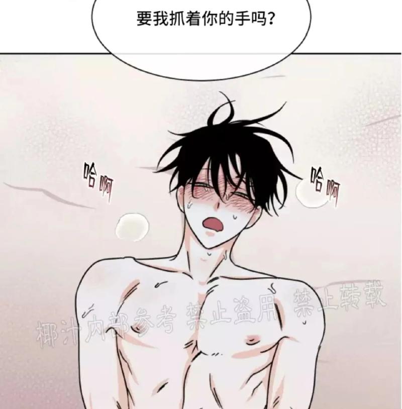 羞羞漫画入口在线观看，用户评论：热议动漫背后的故事与文化