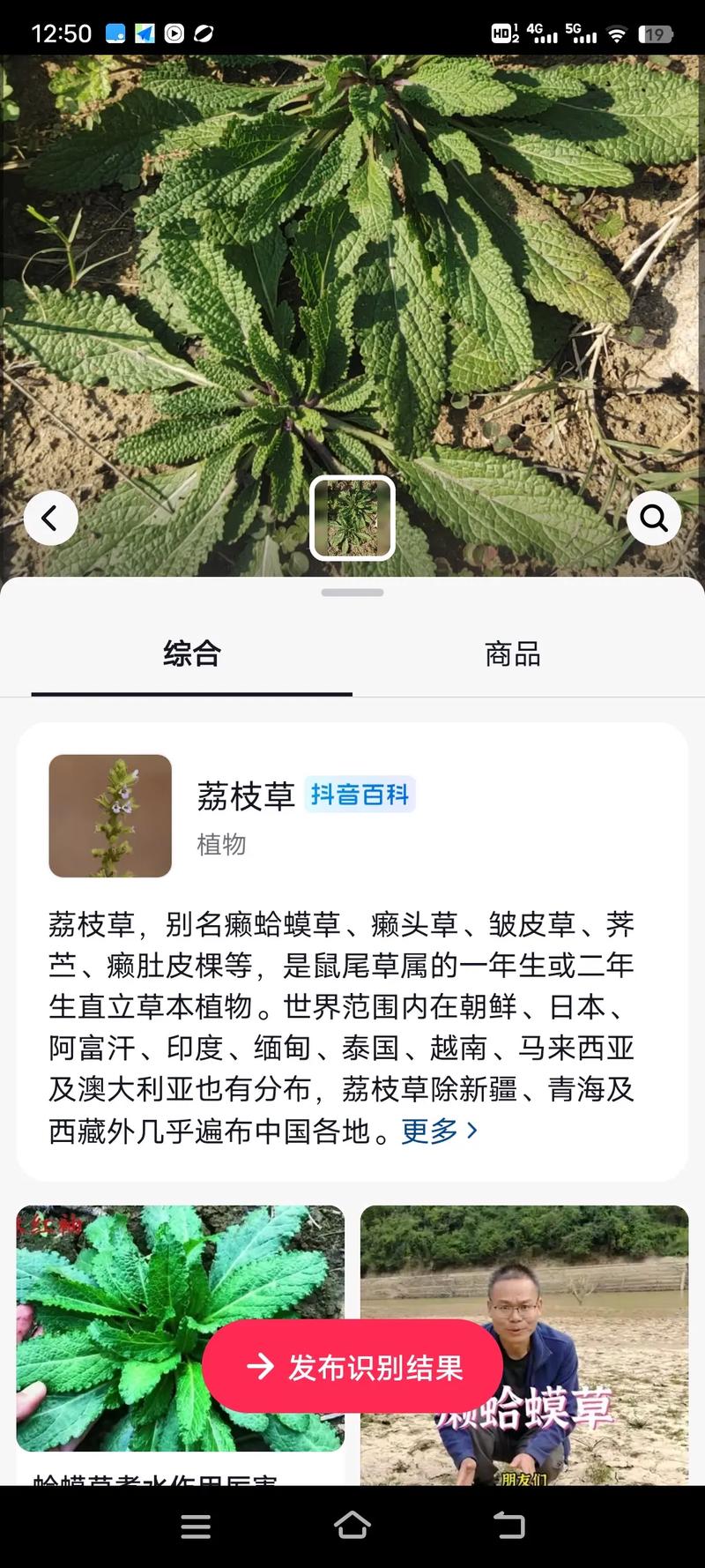 绿巨人樱桃荔枝青青草，网友表示：这个夏天的味道让人醉