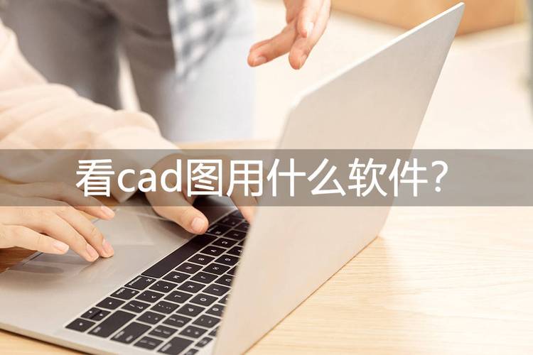 一起草CAD免费看上线，网友：这是免费的设计革命！